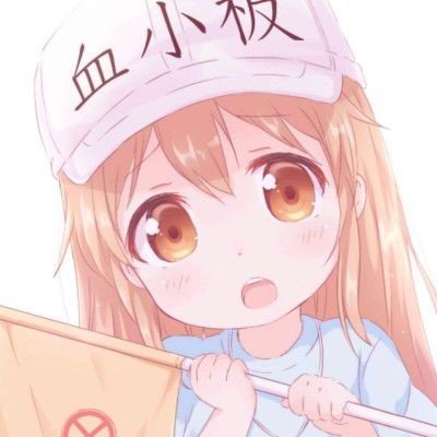 美国务卿宣布对伊朗军事行动结束